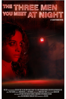 The Three Men You Meet at Night poster