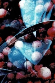 ‎Bark-Rind (1977) directed by Paul Winkler • Reviews, film + cast ...