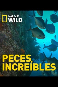 Incredible Fish Incredible Fish (2016) directed by Boris von Schoenebeck • Reviews ...