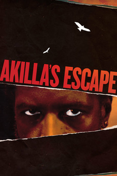 Akilla's Escape (2020) directed by Charles Officer • Reviews, film