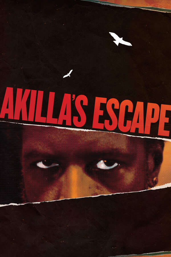 Akilla's Escape (2020) directed by Charles Officer • Reviews, film