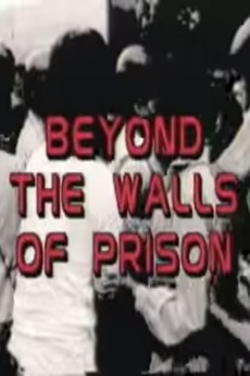 Beyond desert essay from prison wall 08 image