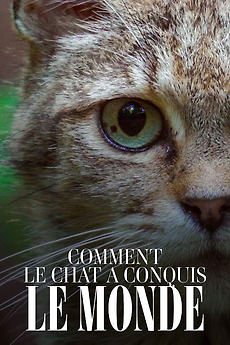 ‎Comment le chat a conquis le monde (2020) directed by Éric Gonzalez