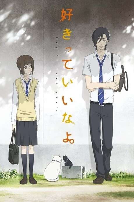 Say "I love you" • Reviews, film + cast • Letterboxd