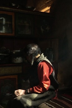 An Old Herdsman (2020) directed by Ta Gyem, Yu Jiaming • Film + cast ...
