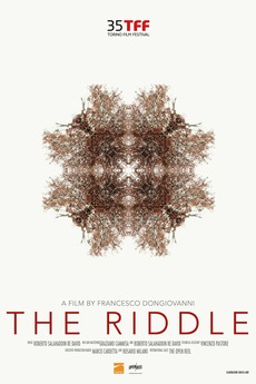 The Riddle (2017) directed by Francesco Dongiovanni • Film + cast ...