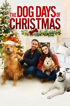 The Dog Days of Christmas (2021) directed by Tori Garrett • Reviews ...
