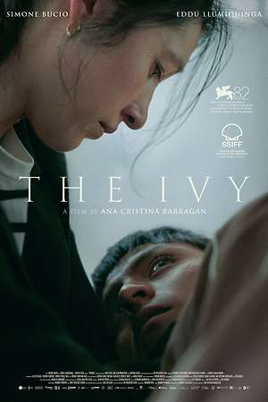 The Ivy