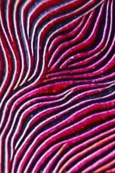 ‎Abstract Patterns (1949) directed by Ron Doerring • Reviews, film ...