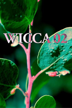 ‎WICCA_02 (2018) directed by Josh Bulman • Reviews, film + cast ...