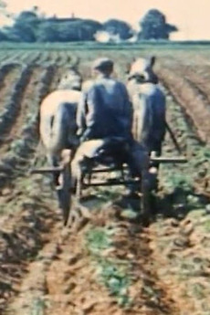 â žprince Edward Island 1943 Directed By Margaret Perry â Reviews Film â žprince Edward Island 1943 Directed By Margaret Perry â Reviews Film