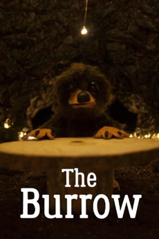 ‎The Burrow (2019) directed by Forrest Rice • Reviews, film + cast ...