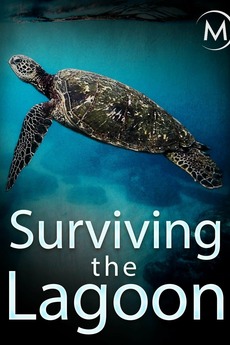 ‎Surviving the Lagoon (2018) directed by Gil Kébaïli Manuel Lefèvre