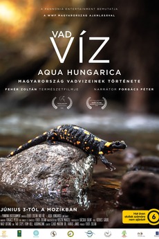 ‎Vad víz – Aqua Hungarica (2021) directed by Fehér Zoltán • Film + cast ...