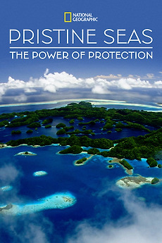 Pristine Seas: The Power of Protection (2021) directed by Scott ...