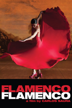 Flamenco Flamenco (2010) directed by Carlos Saura • Reviews, film