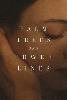 Palm Trees and Power Lines