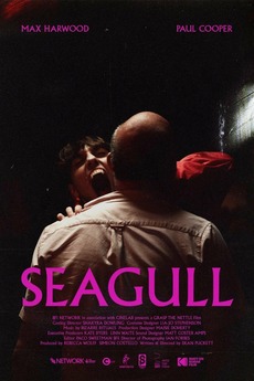 Seagull poster