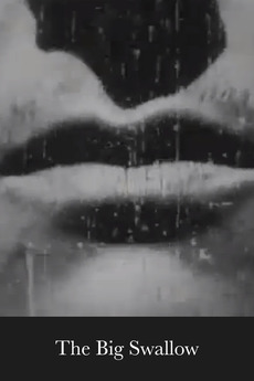 ‎The Big Swallow (1901) directed by James Williamson • Reviews film