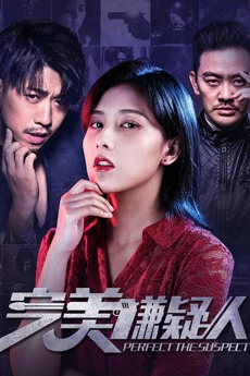 ‎The Perfect Suspect (2019) directed by Zhou Zikai • Film + cast ...