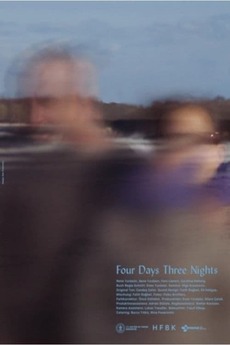 ‎4 Days 3 Nights (2021) directed by Enes Yurdaün • Reviews, film + cast ...
