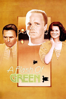 A Flash of Green (1984) directed by Victor Nuñez • Reviews, film +