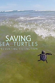 â žsaving Sea Turtles Preventing Extinction â Film Cast â Letterboxd