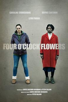 ‎Four O'Clock Flowers directed by Peter Callow • Film + cast • Letterboxd