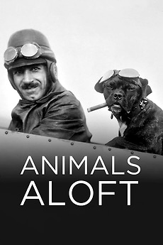 Animals Aloft (2009) • Reviews, film + cast • Letterboxd