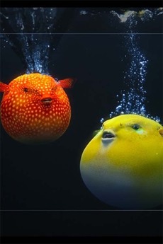 ‎Dolby Atmos and Dolby Vision Demo: Pufferfish (2020) • Reviews, film ...