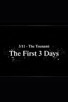Japan tsunami 3 days later