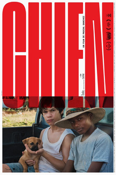 ‎Dog (2019) directed by Pascal Sanchez • Film + cast • Letterboxd