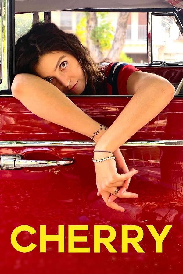 868220-cherry-0-600-0-900-crop