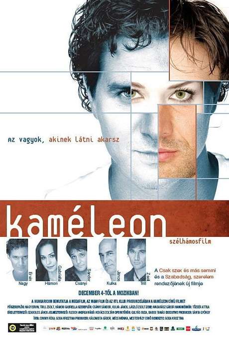 Chameleon (2008) directed by Krisztina Goda • Reviews, film + cast