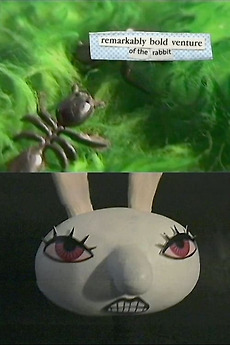 Remarkably Bold Venture of the Rabbit (2000) directed by Tim Drage ...