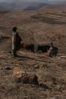 ‎The Ragged Ones (2002) directed by David Griggs • Film + cast • Letterboxd