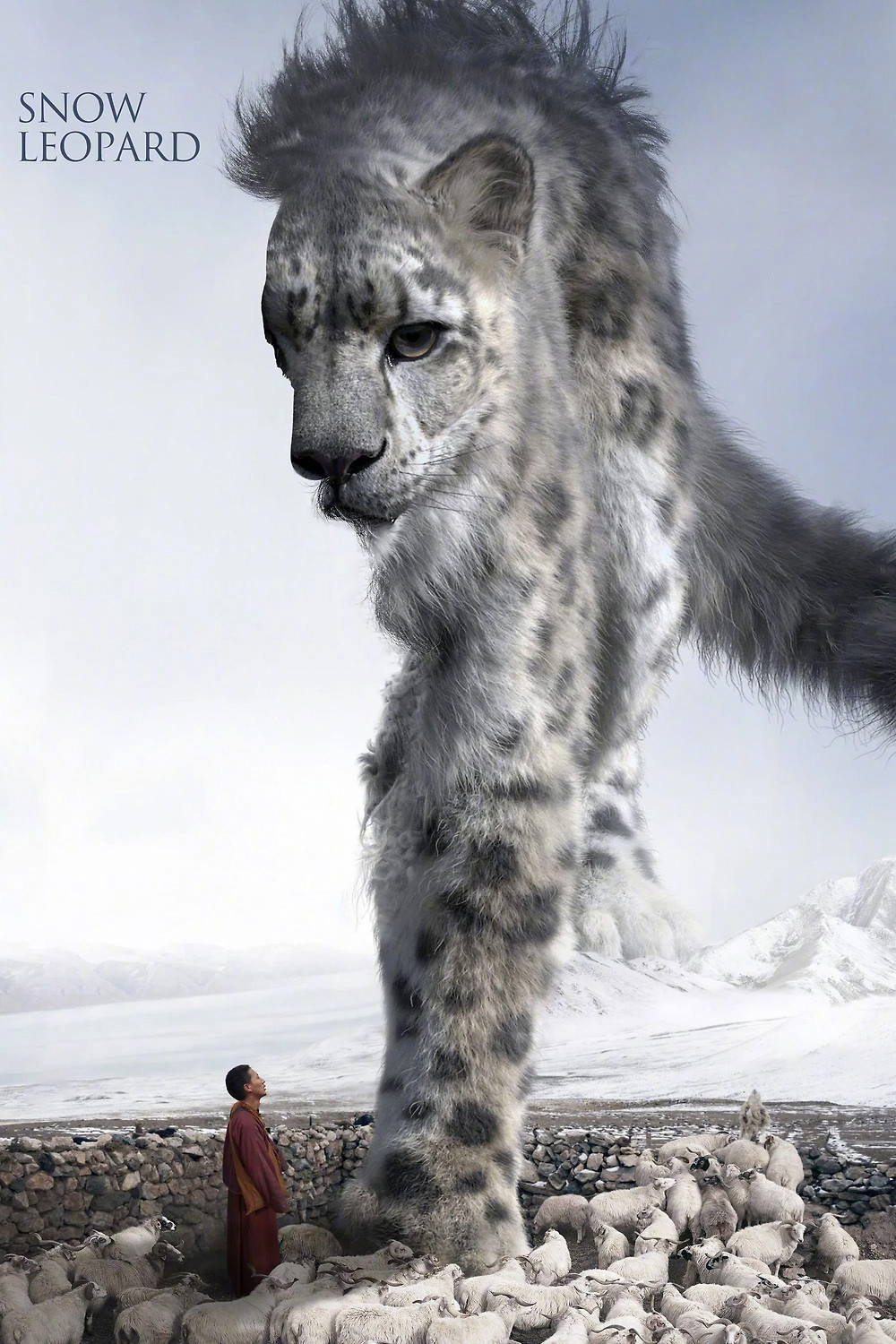 「神の獣 雪豹 - The Eidolon,Snow Leopard」2019年 世界初？ユキヒョウの写真集「神の獣 ユキヒョウ」を発売 | 株式