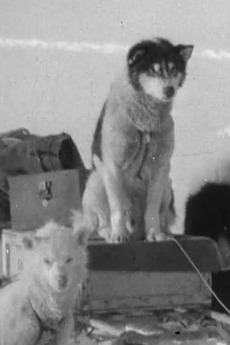 Greenland Rymill 1933 (1933) directed by John R. Rymill • Film + cast