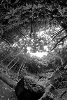 Window of Hell (2022) directed by Pedro Maia • Reviews, film + cast ...