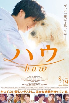Isshin Inudo Haw (2022) directed by Isshin Inudo • Reviews, film + cast • Letterboxd