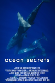 ‎Ocean Secrets (2020) directed by Mauricio Handler • Film + cast