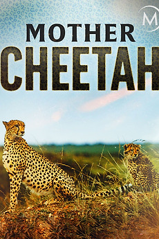 Cheetah Mom (2013) directed by Reinhard Radke • Reviews, film + cast ...