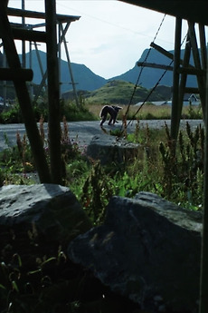 ‎Now, I Also, Am Here (2023) directed by Camilla Figenschou • Reviews ...