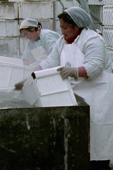 ‎Women Workers in Greenland (1975) directed by Lene Aidt, Merete Borker