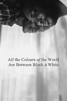 All the Colours of the World Are Between Black and White (2023) directed by Tunde Apalowo • Reviews, film + cast • Letterboxd