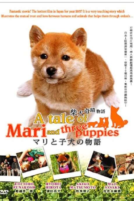 ‎A Tale of Mari and Three Puppies (2007) directed by Ryuichi Inomata