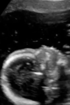 \u200eI Was Born In 1988 (2023) directed by Yasaman Baghban • Reviews, film