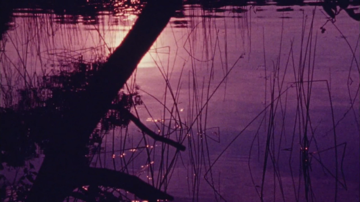 Isolation (1974) directed by Abbott Meader • Reviews, film + cast ...
