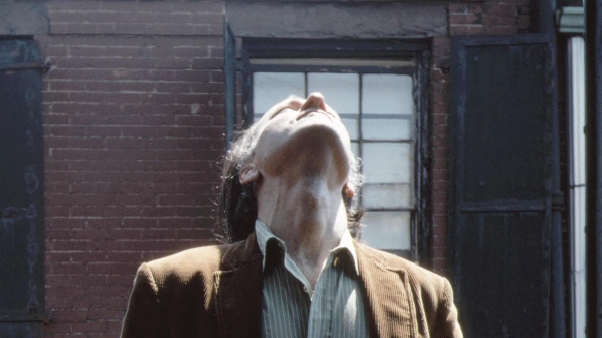 ‎Jonas Mekas in Kodachrome Days (2009) directed by Ken Jacobs • Reviews ...