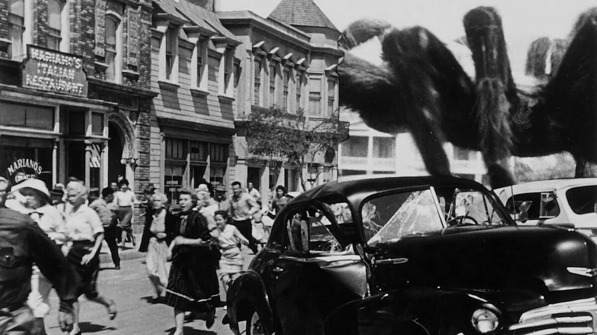 The Spider’ review by LordSlaw • Letterboxd